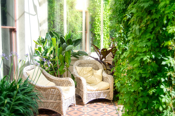Dům terasa s proutěné židle a zelené rostliny - Fotografie, Obrázek