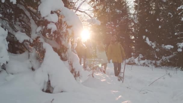 Täysi hidastettu kuvamateriaalia nuorten iloinen joukko ystäviä lämpimissä vaatteissa kävely metsässä nauttia talvella ja lunta hauskaa yhdessä - Materiaali, video