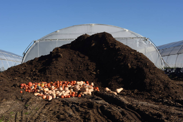 Mountain of earth composing pumpkins and tomatoes - Photo, Image