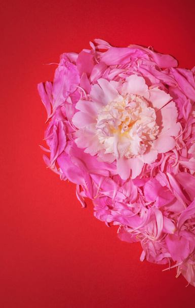 El corazón está forrado con pétalos de flores. Corazón hecho de flores. Día de San Valentín. Paleta de colores. Amor de moda - Foto, imagen