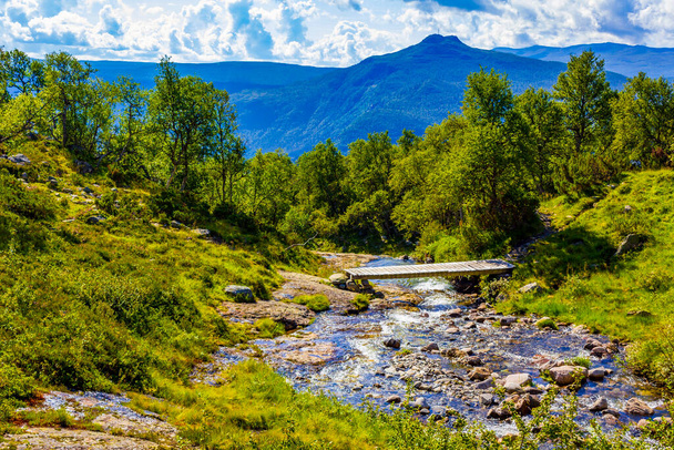 Amazing norwegian landscape with beautiful river waterfall in Vang i Valdres, Innlandet, Norway. - Foto, Imagen