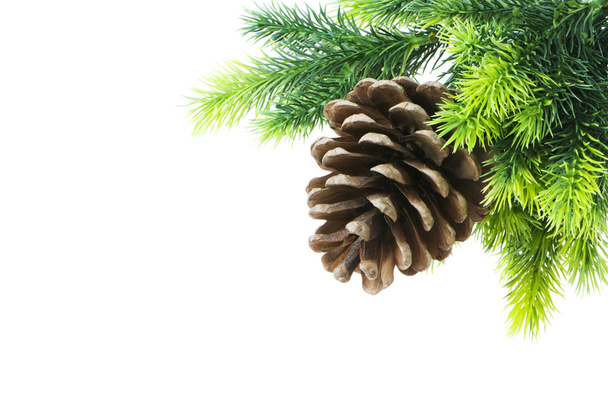 Kužel a vánoční strom izolované na bílém - Fotografie, Obrázek