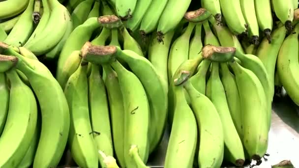 Grandes bananes vertes sur un rack dans un supermarché moderne. 4K - Séquence, vidéo