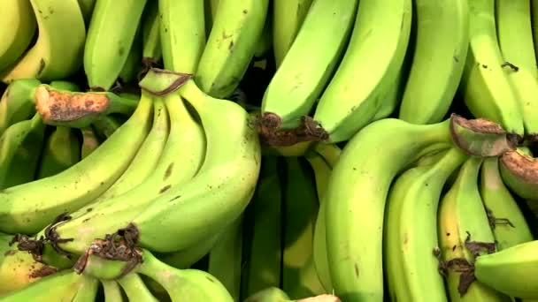 Suuret vihreät banaanit telineessä nykyaikaisessa supermarketissa. 4K - Materiaali, video