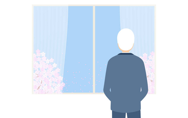Elderly man looking at the cherry blossoms in full bloom from the window - Vector, Image