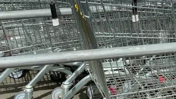Řada vozíků v supermarketu. 4K - Záběry, video