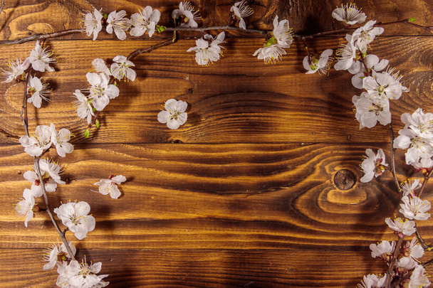 Flores de albaricoque sobre fondo de madera. Flor de primavera en el escritorio de madera. Vista superior, espacio de copia - Foto, Imagen