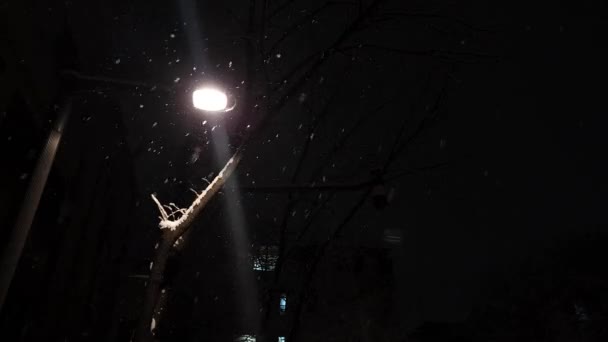 De rustige omgeving van straatverlichting in de sneeuw - Video