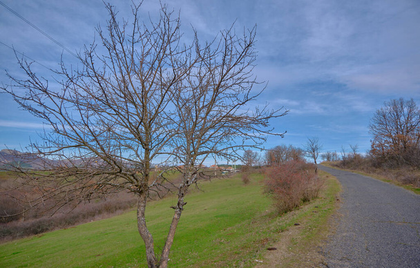 Schotterstraße und Pfad mit grünem Gras, blauem Himmel und getrockneten braunen Blättern und Bäumen. - Foto, Bild