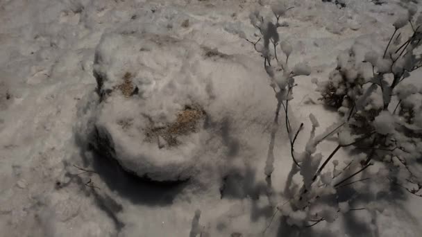 Lumi putoaa maahan pimeässä illassa - Materiaali, video