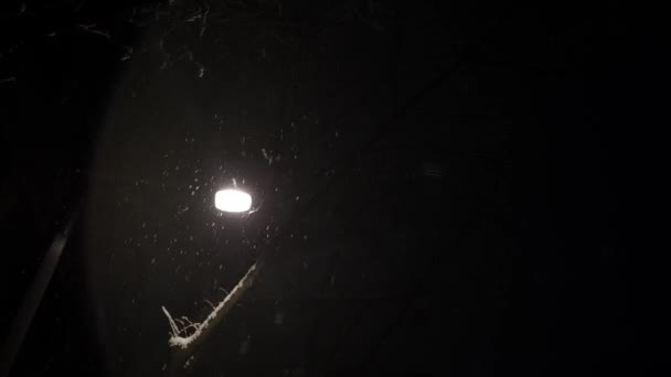 Sneeuw valt rond een gloeiende straatlamp op een donkere achtergrond 2 - Video