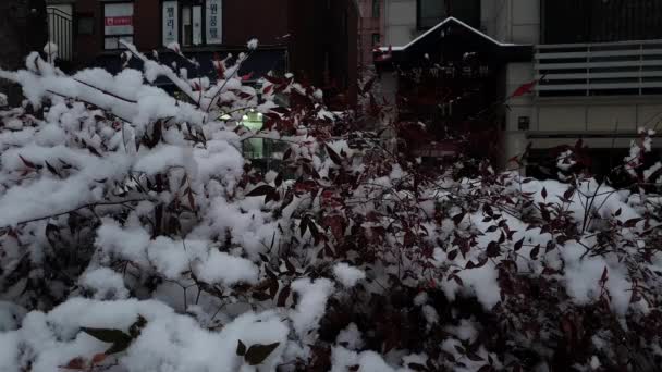 Χιόνι και κτίρια στοιβαγμένα σε κλαδιά - Πλάνα, βίντεο