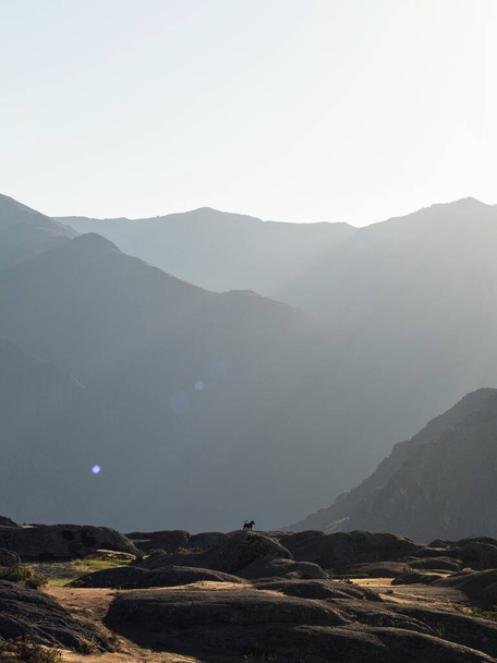 Panoráma kutya Marcahuasi andes fennsík szikla képződmények hegyek völgy természet táj Lima Peru Dél-Amerika - Fotó, kép