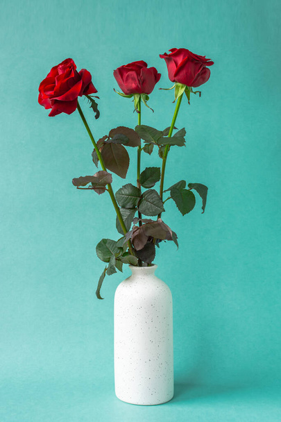 Red roses in a white vase on a turquoise background. Fresh bright bouquet as a gift. Happy Valentine's Day, Happy Mother's Day. The concept of a Birthday, Anniversary, wedding. Vertical, copy space - Foto, immagini
