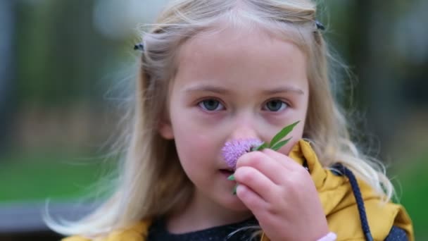 Ritratto di una bella bambina che tiene in mano un fiore di trifoglio. ragazza carina 5 anni occhi astuti guardando altrove con un sorriso guardare la fotocamera. chiudi Video girato. Video al rallentatore - Filmati, video