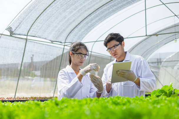 Scientists test the solution, Chemical inspection, Check freshness  at organic, hydroponic farm. - Φωτογραφία, εικόνα