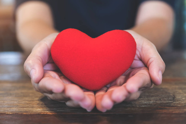 Closeup image of hands holding a red heart sign - Valokuva, kuva