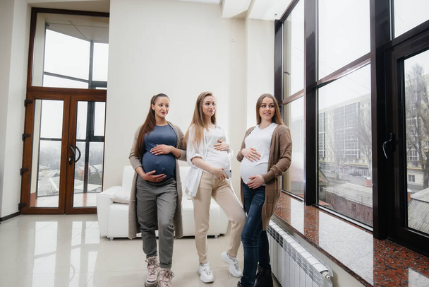 A group of young pregnant girls communicate in the prenatal class. Care and consultation of pregnant women - 写真・画像
