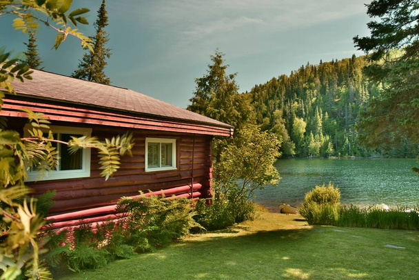 bela paisagem com lago e grama verde - Foto, Imagem
