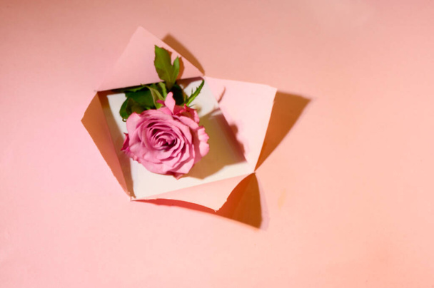creative composition of opened paper with rose, close view  , Valentine day concept  - Photo, Image