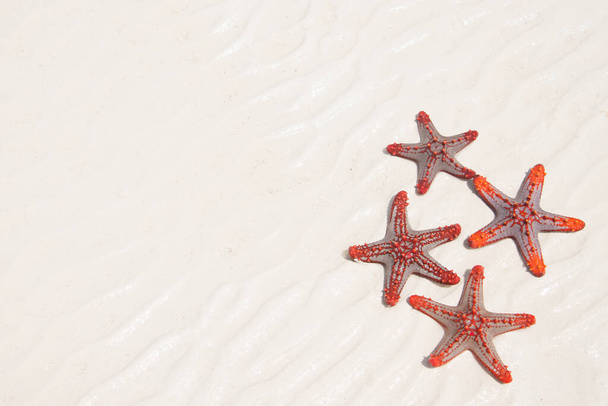 Группа морских звезд на песчаном фоне пляжа - Фото, изображение