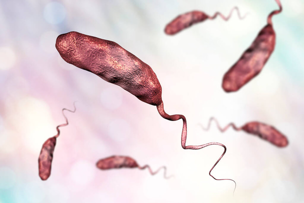 Vibrio cholerae bacterium, ilustración 3D. Bacterias que causan cólera - Foto, Imagen
