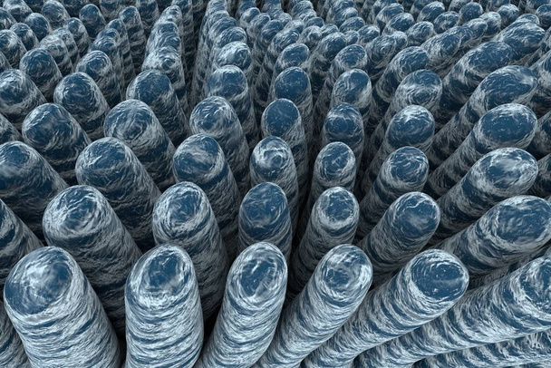 Villi de intestino delgado, ilustração 3D. Ambiente intestinal, visão de perto - Foto, Imagem