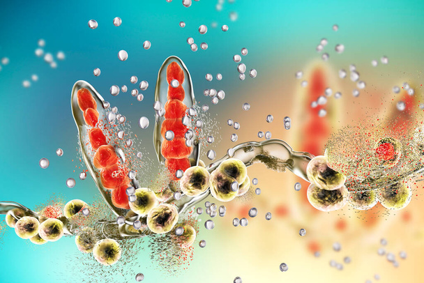 Destruction of fungus Trichophyton by silver nanoparticles, a fungus which causes athlete's foot Tinea pedis and scalp ringworm Tinea capitus. 3D illustration. Concept for antifungal treatment - Photo, Image