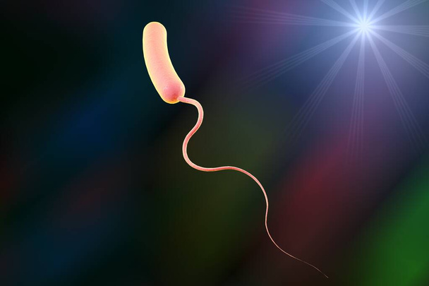 Vibrio cholerae baktérium, 3D illusztráció. Kolerát okozó baktérium - Fotó, kép