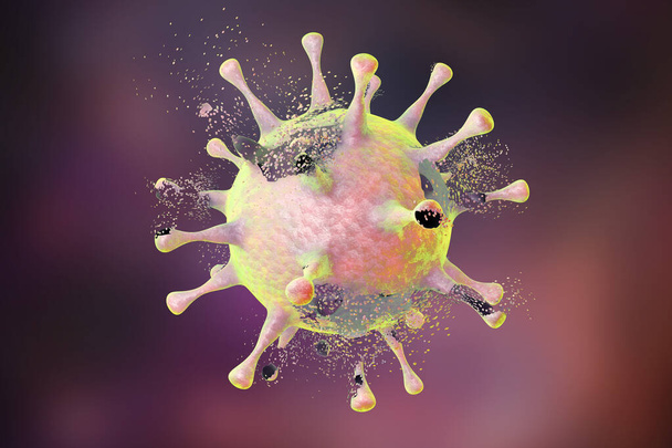 Destruction of a virus, 3D illustration. Series of images showing different stages of destruction of a virus. Can be used to illustrate effect of drugs, medicines, microbes, nanoparticles - Photo, Image