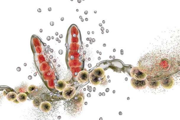 Знищення гриба трихофітоном за допомогою срібних наночастинок, гриба, який викликає атлетичну ногу Tinea pedis і шпалерний кільцевий черв'як Tinea capitus. 3D ілюстрація. Концепція протигрибкового лікування
 - Фото, зображення