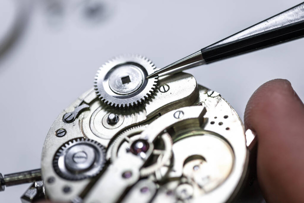 A closeup shot of a craftsman fixing gears on a clock - 写真・画像