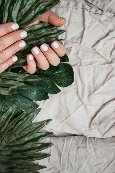 Manos de mujer con manicura blanca limpia fresca en hojas de plantas verdes, palmeras y monstruos sobre fondo de tejido beige arrugado. Contenido vertical, enfoque selectivo - Foto, Imagen
