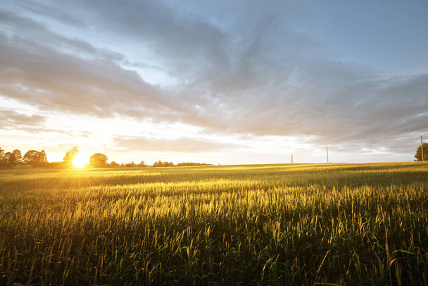 Epische zonsondergang hemel boven het groene landbouwveld. Transformatorpalen op de achtergrond. Duitsland. Dramatische kleurrijke wolken na de regen. Alternatieve energie, productie, milieubehoud - Foto, afbeelding
