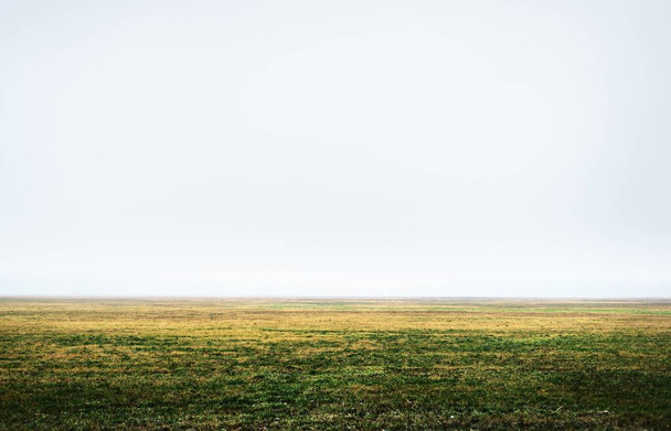 Un champ verdoyant dans un épais brouillard blanc du matin. Arbres solitaires gros plan. Hiver chaud. Image conceptuelle, conservation de l'environnement, hiver chaud, thème du changement climatique - Photo, image