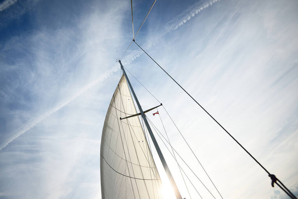 Low angle view of the white yacht sails. Clear blue sky with cirrus clouds and plane tracks. Netherlands - Photo, Image