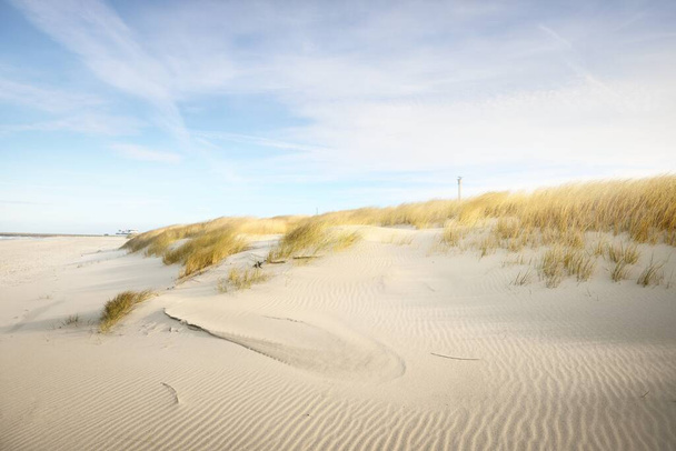Берег (пустеля) острова Ангольт під яскравим блакитним небом з круглими хмарами. Піщані дюни та рослини (аммофіла). Екологічне збереження, тема екологічного туризму. Каттегат (Данія) - Фото, зображення
