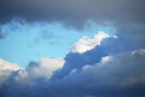 Cielo azul claro al atardecer con nubes cúmulos después de la lluvia. Patrón natural abstracto, textura, primer plano. Arte conceptual, meteorología, ecología, cambio climático, religión, cielo, recursos gráficos - Foto, Imagen