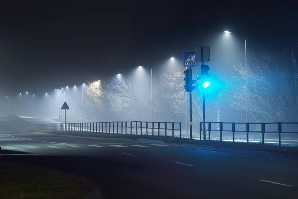 Φωτισμένη άδεια εθνική οδό μέσα σε ομίχλη τη νύχτα. Φώτα του δρόμου και πινακίδες κοντά. Σκοτεινή αστική σκηνή, αστικό τοπίο. Ρίγα, Λετονία. Επικίνδυνη οδήγηση, ταχύτητα, ελευθερία, έννοια εικόνας - Φωτογραφία, εικόνα