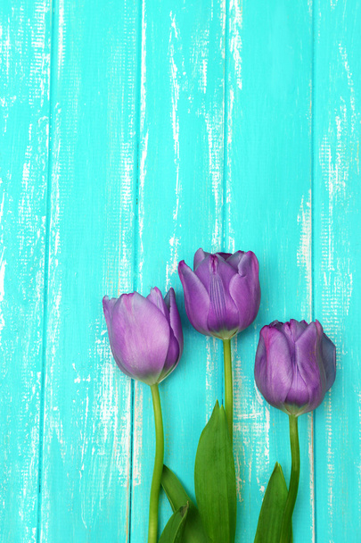 Beautiful tulips on color wooden background - Fotoğraf, Görsel