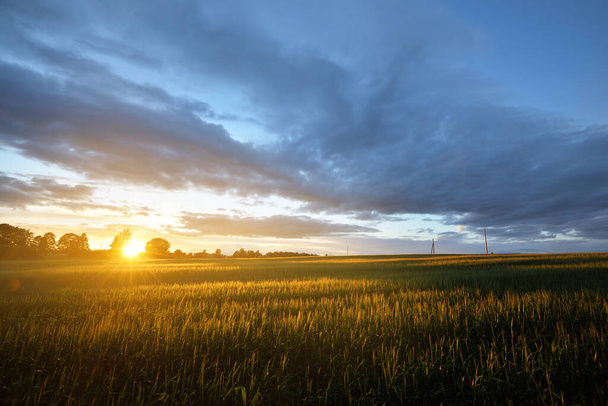 Epic sunset sky above the green agricultural field. Postes del transformador en el fondo. Alemania. Dramáticas nubes de colores después de la lluvia. Energía alternativa, producción, conservación del medio ambiente - Foto, imagen