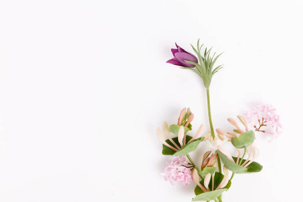 Jarní roztomilá kytice sasanky a šeříku na bílém pozadí. Pohled shora, plochý. Kopírovat prostor. - Fotografie, Obrázek