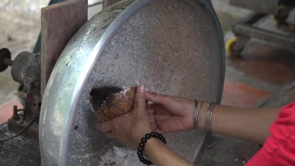 Close Up di mani femminili Peeling bianco kernel di cocco con una macchina primitiva - Filmati, video