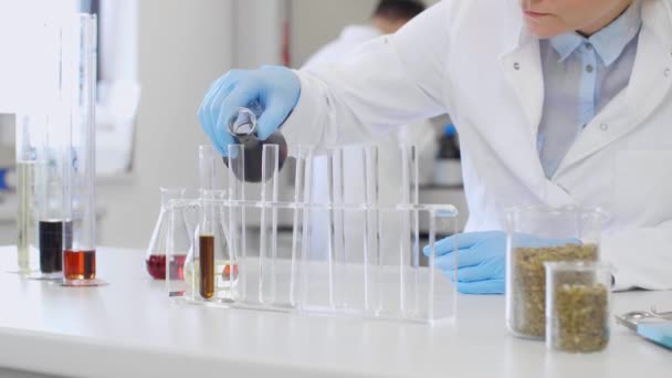 Close-up van chemische wetenschappers die werken met hennep CBD en CBDa olie in het laboratorium. Ze gebruikt erlenmeyer kolven. Cannabis farmaceutisch gezondheidsconcept. - Video