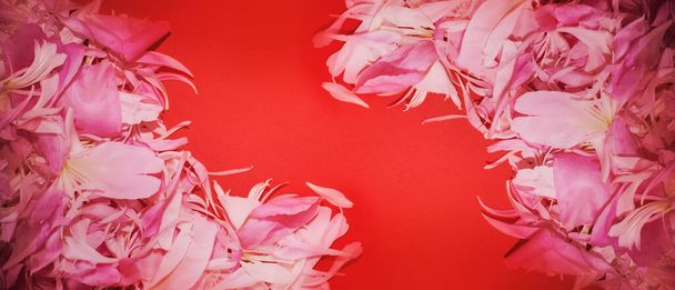 花弁が赤い背景。バレンタインデー。カラーパレット。ファッション好き - 写真・画像