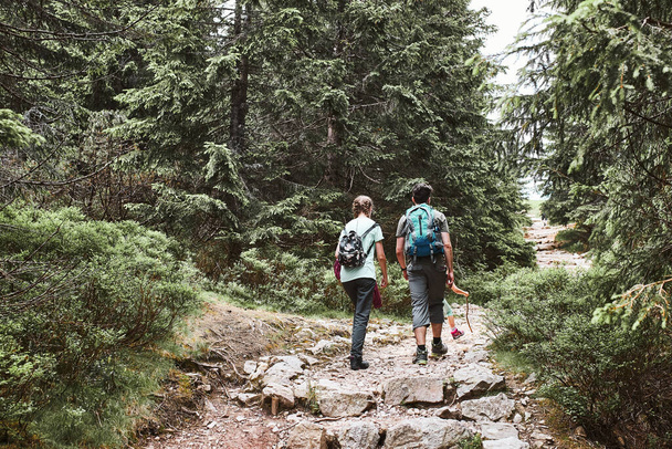 Family with backpacks hiking in a mountains actively spending summer vacation together walking on forest path talking and admiring nature mountain landscapes - Foto, afbeelding