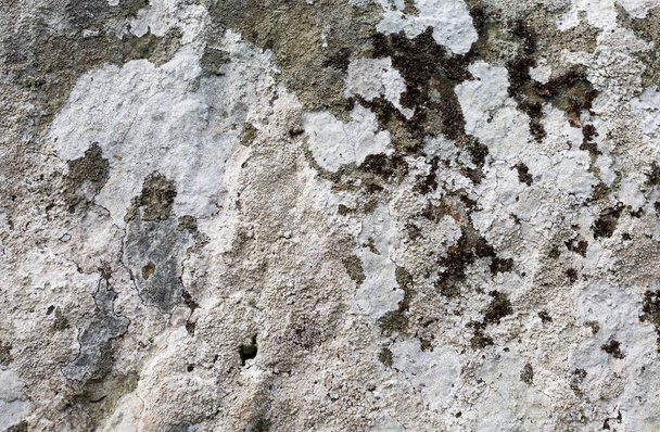 textura de pared de piedra grunge viejo - Foto, Imagen