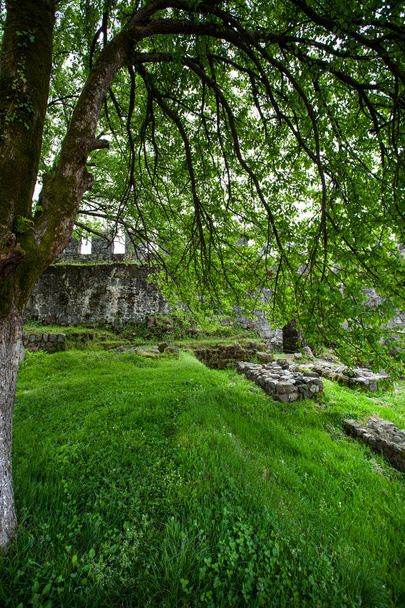 Руины замка
 - Фото, изображение