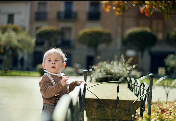 Niño 1-3 años - Fotografie, Obrázek