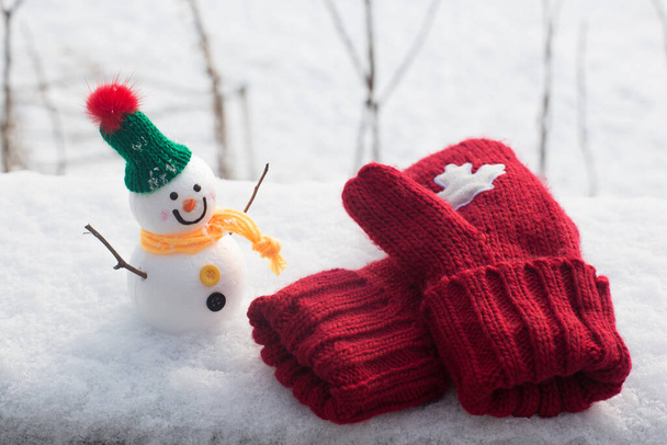pair of red knitted mittens laying on the snow - Photo, Image